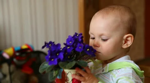 Babe in nature Stock Footage 11129823