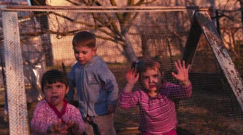 Babes in the Cage Stock Footage 49118251