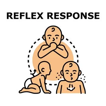Babies demonstrating various infant reflex responses development Stock Illustration