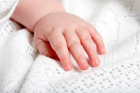 Babies hand Фото