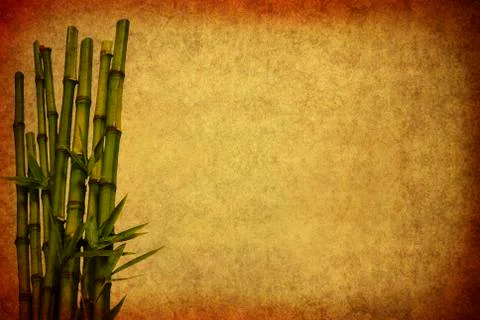 Babmoo template Stock-Fotos