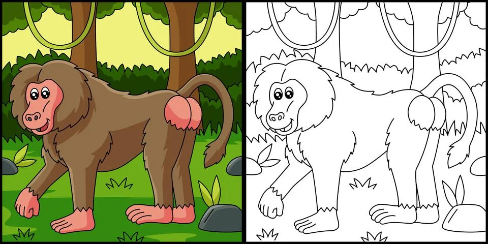 Baboon Coloring Page Vector Illustration Stock Illustration