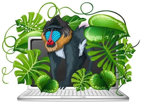 Baboon on computer screen Stock Illustration
