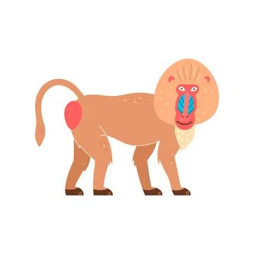 Baboon with a happy face, vector illustration on a white background Stock Illustration