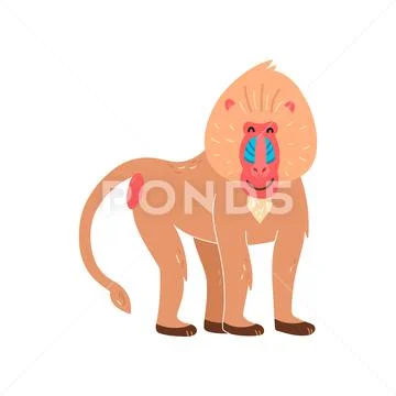 Baboon with a happy face, vector illustration on a white background ...