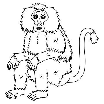 Baboon Monkey Isolated Coloring Page for Kids Stock Illustration