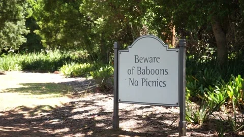 Baboon picnic sign Stock-Footage 149110762