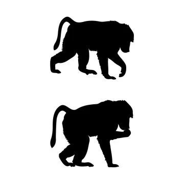 Baboon Silhouette Vector Illustration Bundle Isolated on White Background Stock-Illustration