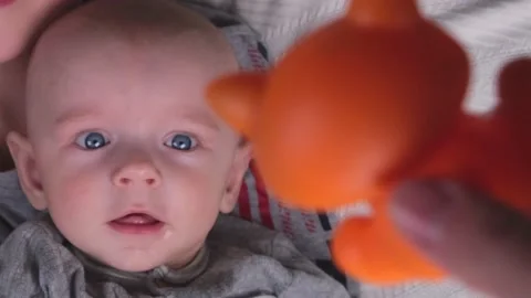 Baby 4 months old boy pulls his hand for a toy on a light background, female Stock Footage 236452184