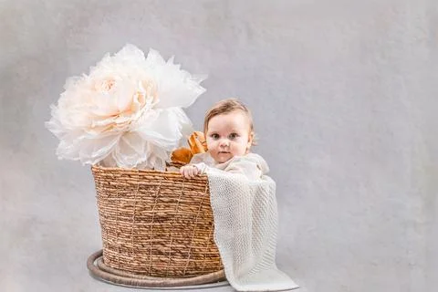 Baby in a basket on a gray background. Stock Photos