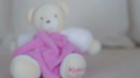 Baby bear Stockbeeldmateriaal 7747284