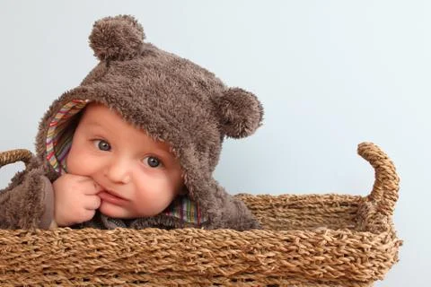 Baby bear Stock Photos