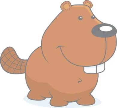 Baby Beaver Stock Illustration