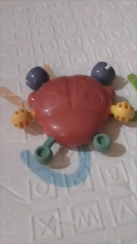 Baby bite toy Stock Footage 293056521