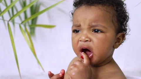 Boy Eats Mom Stock Videos – Royalty-Free HD & 4K Videos