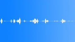 Baby boy coo 03 Sound Effect