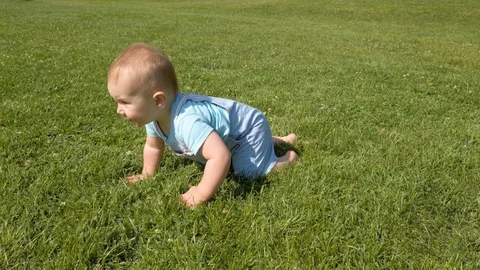 Baby boy crawling through the grass on a warm, summer day. Stock Footage 124357562