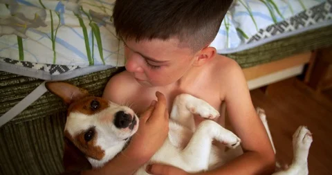 Baby boy crying gently hugging a dog, his friend Stock Footage 113233376
