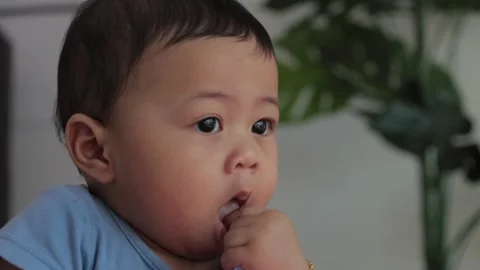 Baby boy Stock Footage 224431810