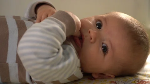 Baby boy looking into the camera Stock Footage 106677554