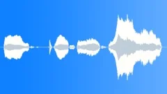 Baby boy mad 02 Sound Effect