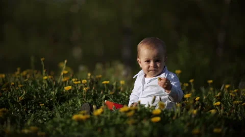 Baby boy playing on grass 2 Stock Footage 55112915