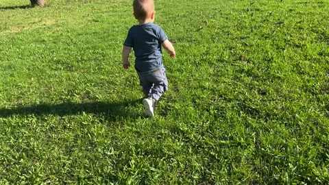 Baby boy running through the grass in garden or city park.  Stock Footage 131821753