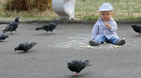 Baby boy sitting down and eating alone, pigeons eating and flying Video stock 12300934