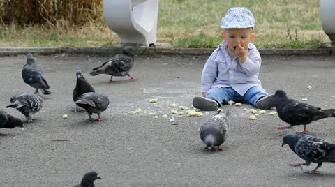 Baby boy sitting down on the ground and eating toghether with the birds Video stock 12300946