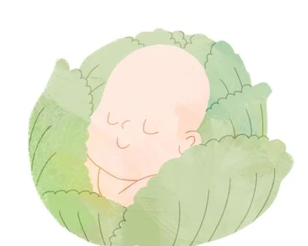 Baby in the cabbage Stock Illustration