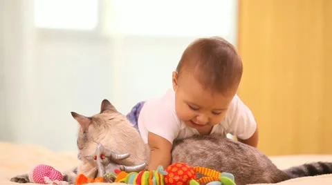 Baby with cat Video stock 11940541