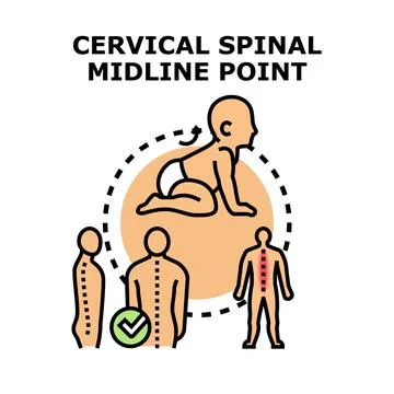Baby cervical spinal development and healthy posture Stock Illustration