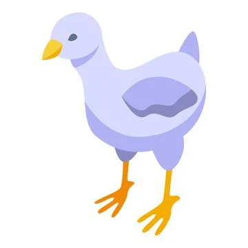Baby chick icon isometric vector. Egg bird Stock Illustration