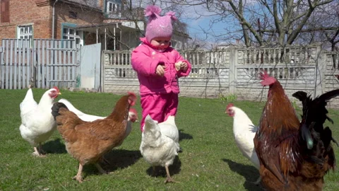 Baby with chickens Stock Footage 164388166
