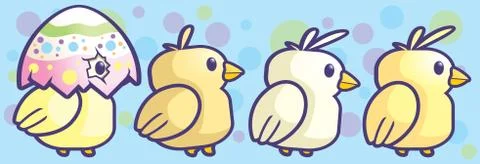 Baby chicks Stock Illustration