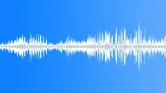 Baby ChicksSound Effect