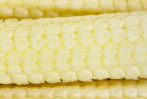 Baby Corn Macro Foto stock