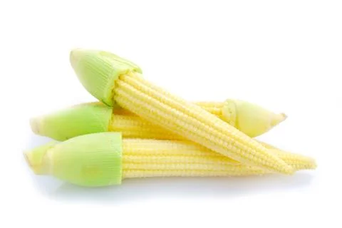 Baby corn or young corn Stock Photos