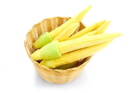 Baby corn or young corn Stock Photos