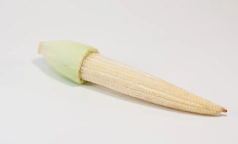 Baby corn . Stock Photos