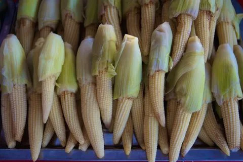 Baby Corn Foto stock