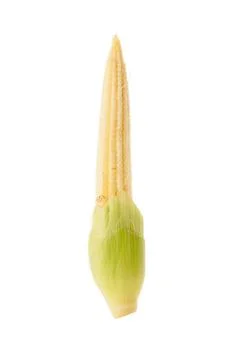 Baby corn Stock Photos