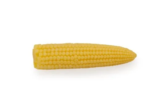 Baby corn static on white background with neutral mood and side view, comme.. Stock Photos