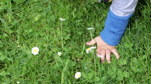 Baby crawling in green grass trying to grab a little white flowers Stockbeeldmateriaal 201525899