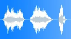 Baby crying 002Sound Effect