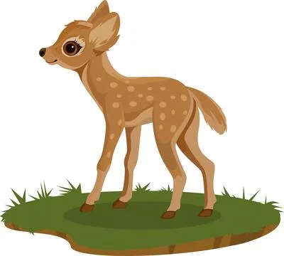 Baby deer Stock Illustration