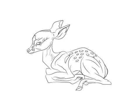 Baby deer lying, lines, vector Stock Illustration