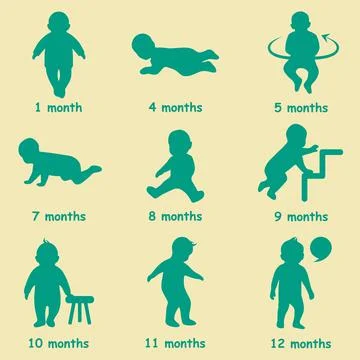 Baby development icon Stock Illustration