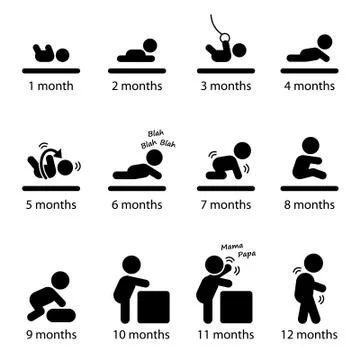 Baby Development Stages Milestones First One Year Stick Figure Pictogram Icon Stock Illustration