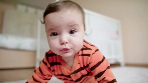 Baby doing push ups on the floor Stock Footage 83611315
